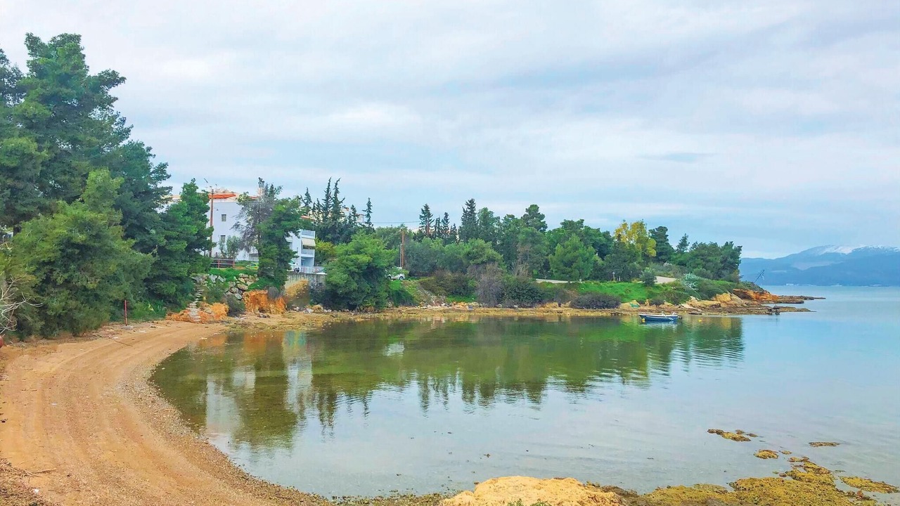Photo of Others in Chalcis
