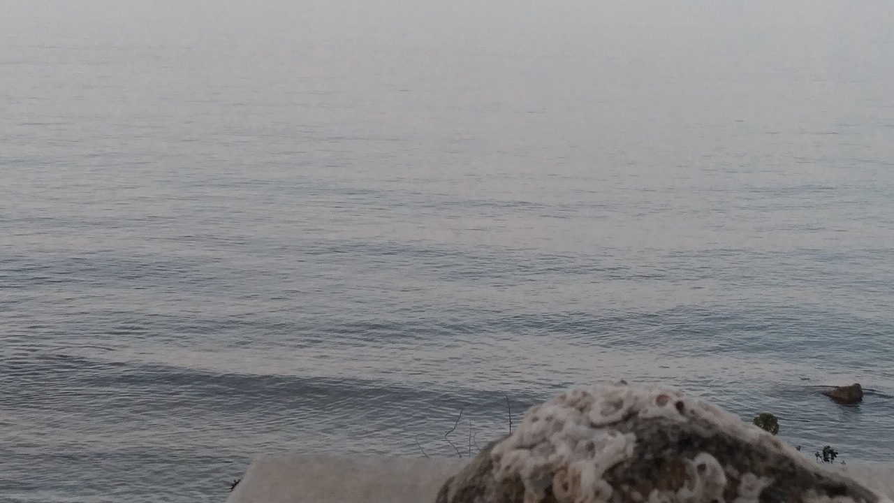 Photo of Others in Naxos
