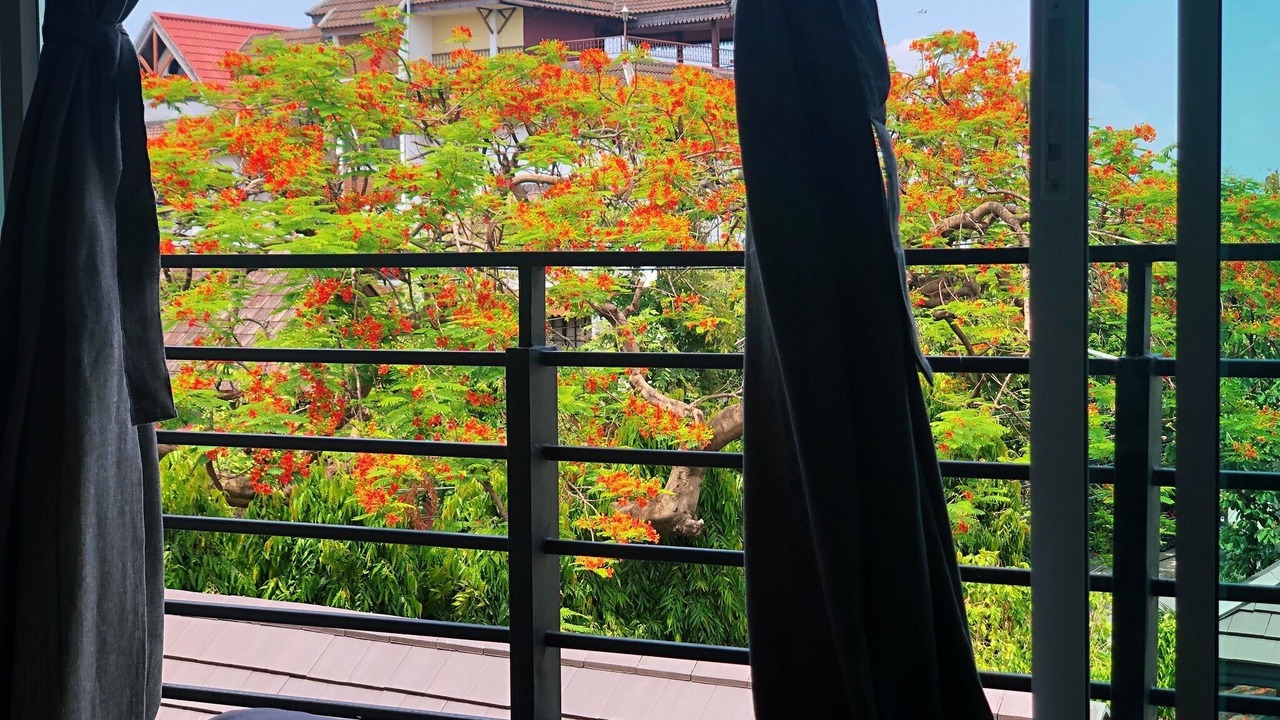 Photo of Outdoor in Wua Lai