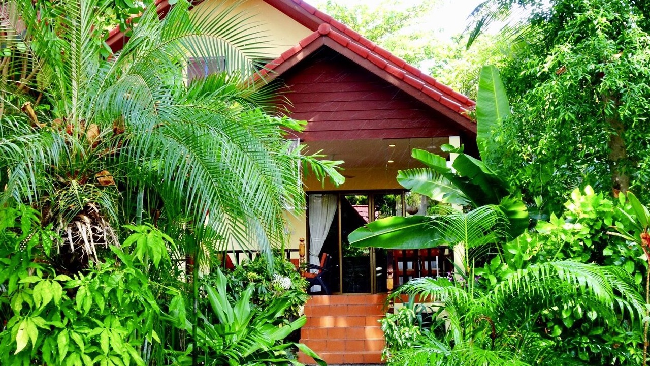 Photo of Outdoor in Lamai