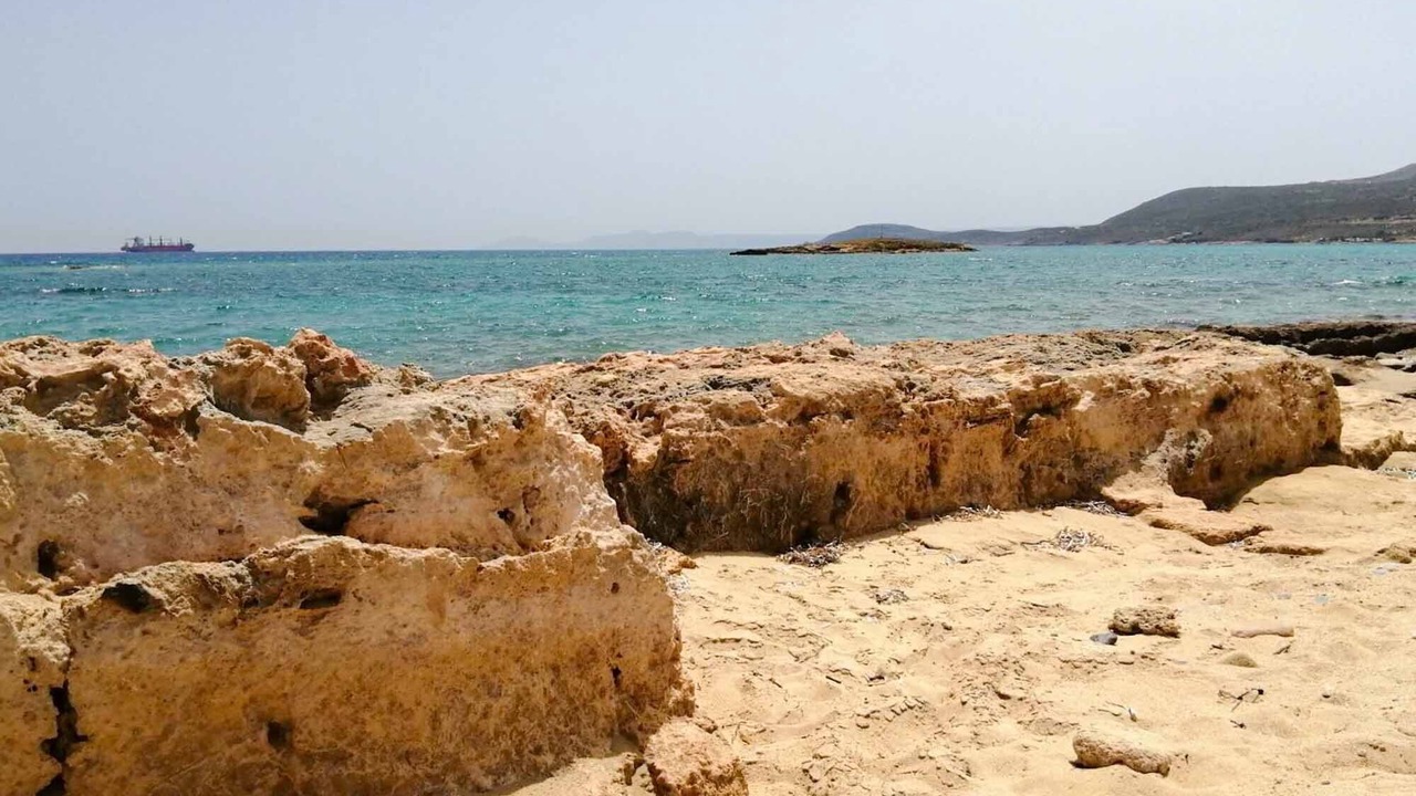 Photo of Others in Voia