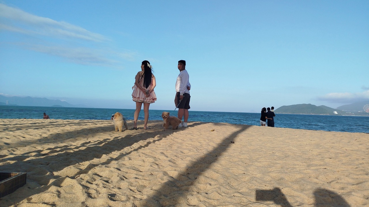 Photo of Others in Nanai Road