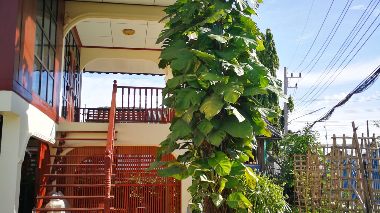 Photo of Outdoor in Chiang Rai