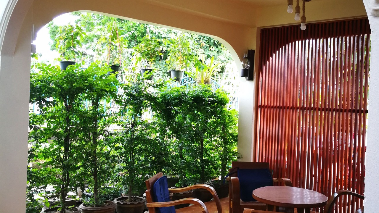 Photo of Outdoor in Chiang Rai