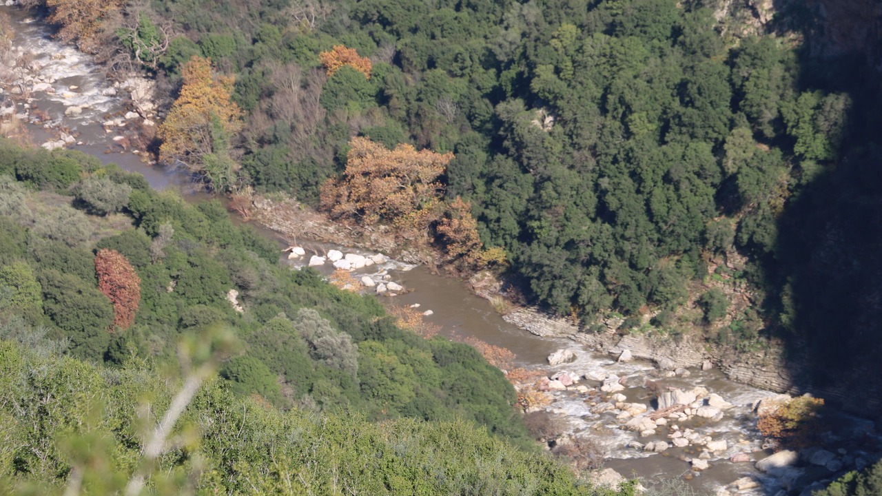 Photo of Outdoor in Andritsaina