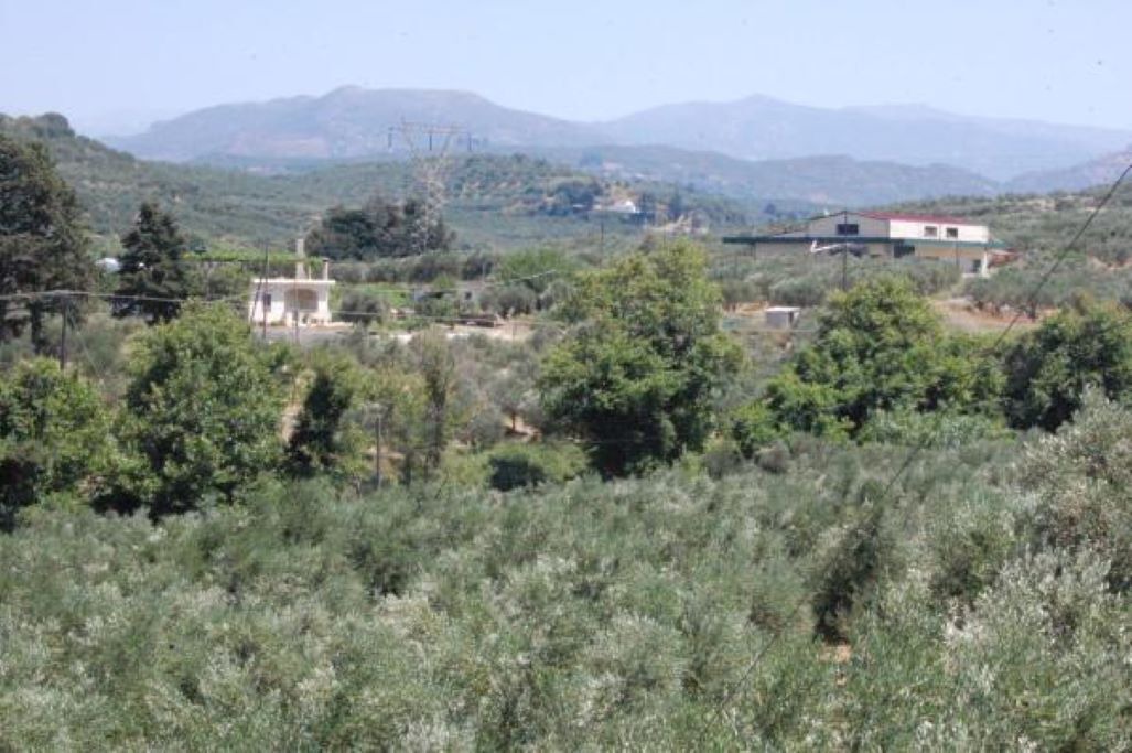 Photo of Outdoor in Astrikas