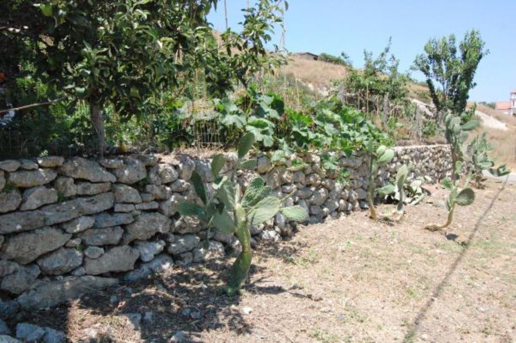 Photo of Outdoor in Astrikas
