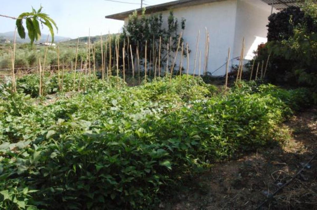 Photo of Outdoor in Astrikas
