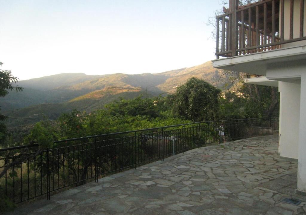 Photo of Outdoor in Artemisia