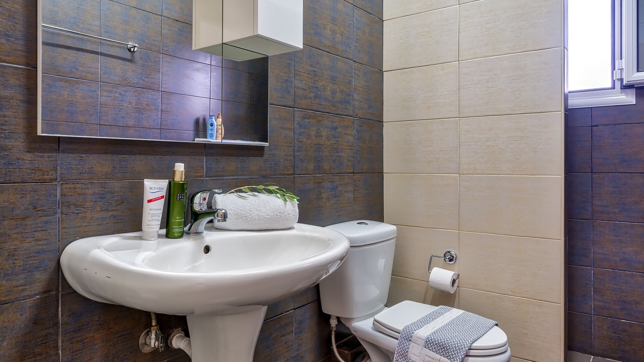 Photo of Bathroom in Grizokambos