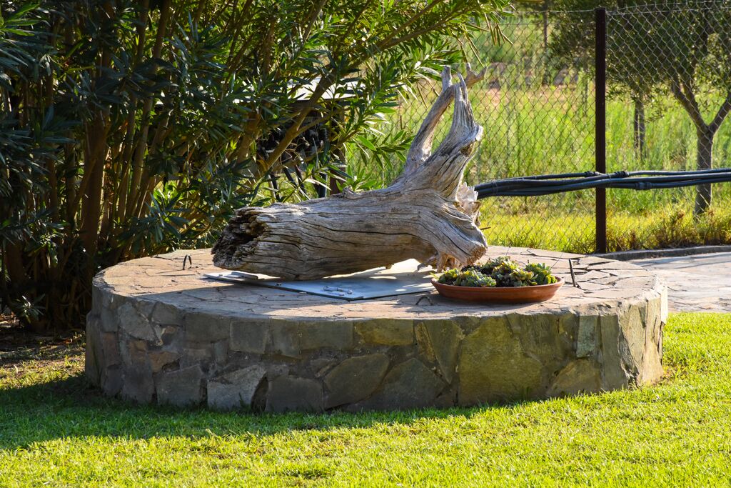 Photo of Outdoor in Larissos