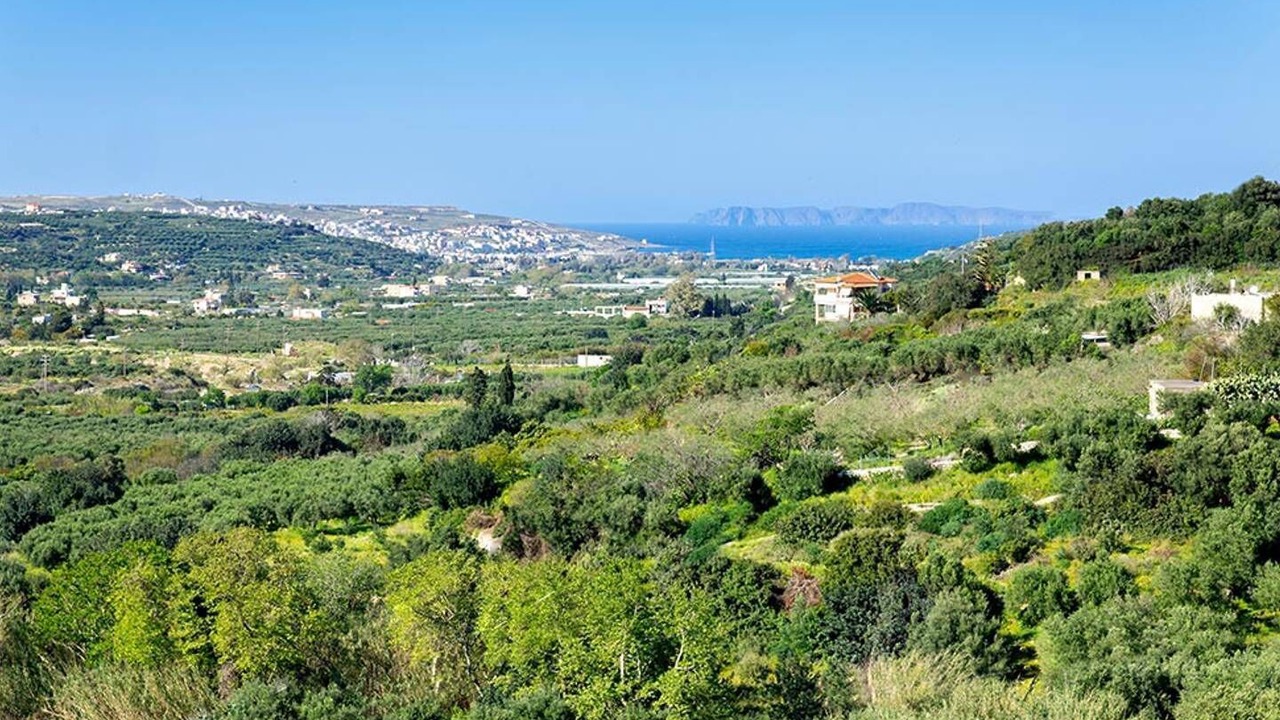 Photo of Others in Sitia