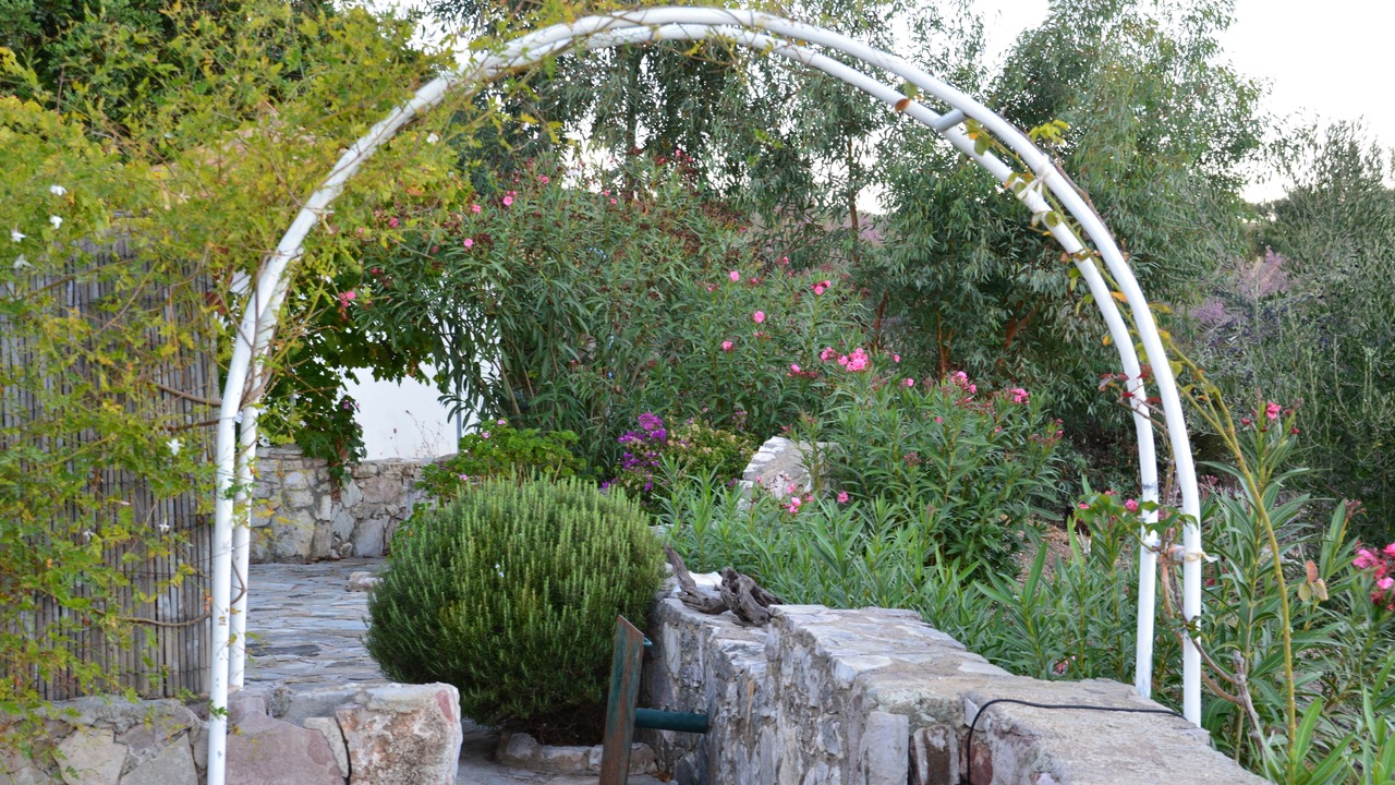 Photo of Outdoor in Aipeia