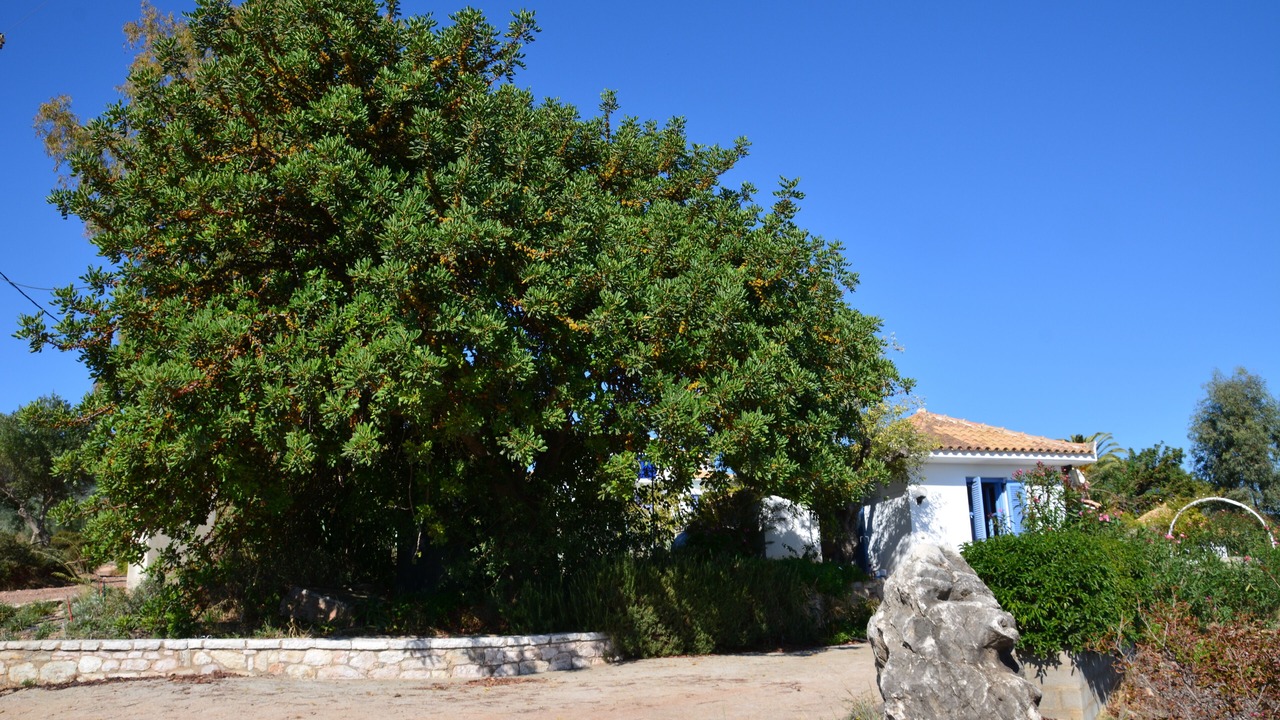 Photo of Outdoor in Aipeia