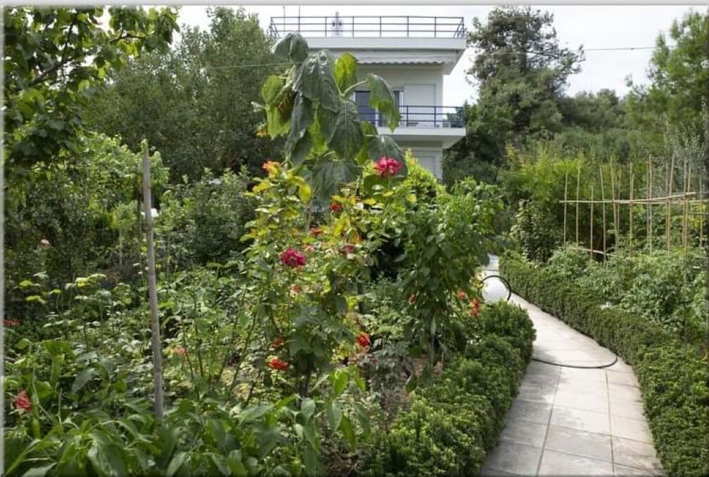 Photo of Outdoor in Agia Triada