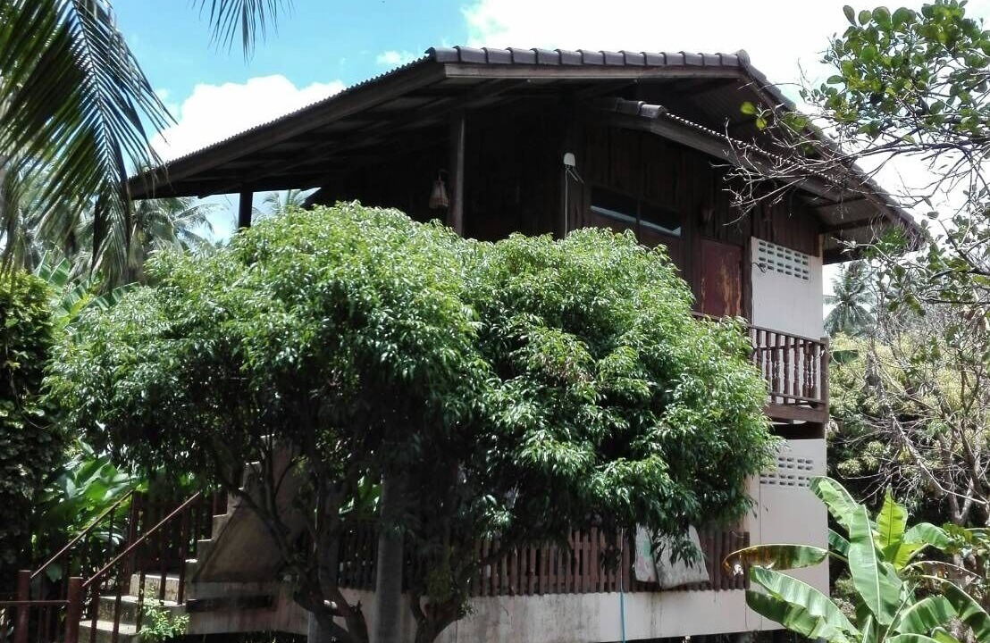 Photo of Outdoor in Suan Luang