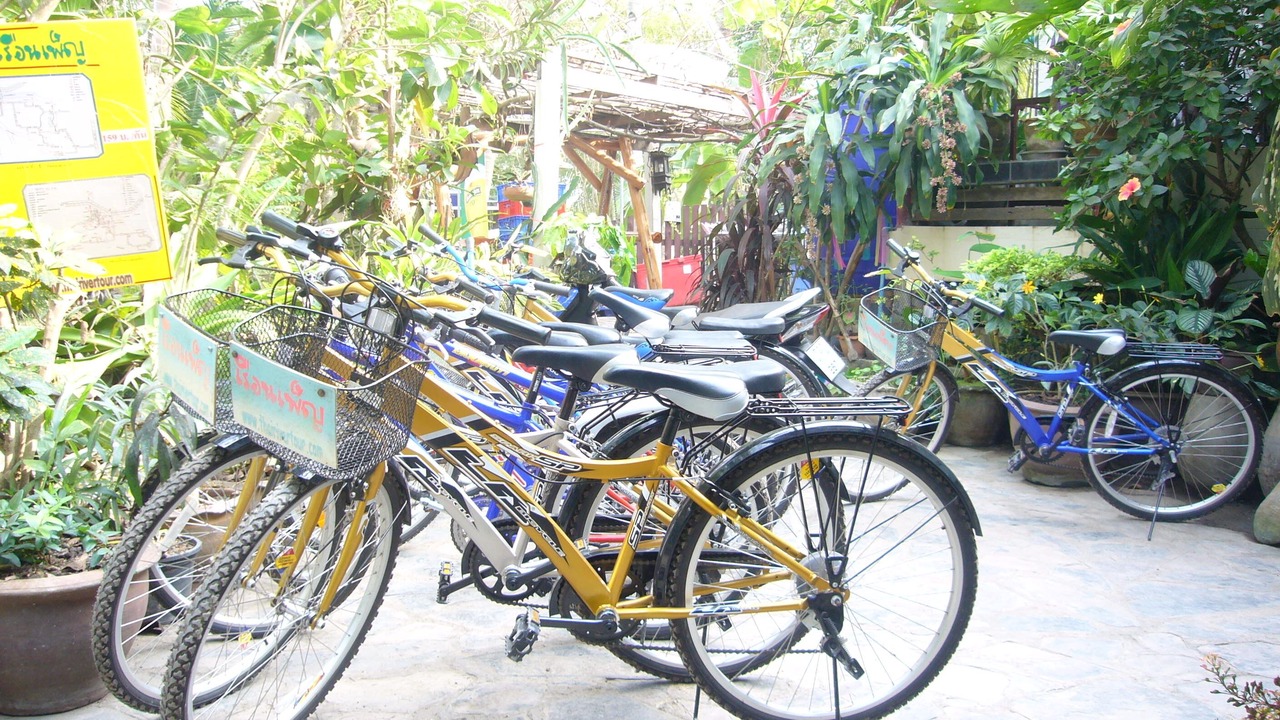 Photo of Outdoor in Suan Luang
