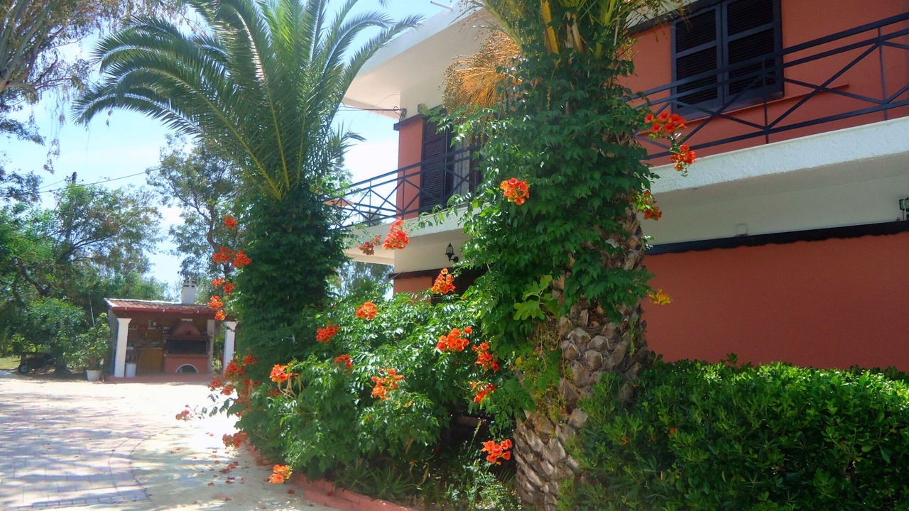 Photo of Outdoor in Molos