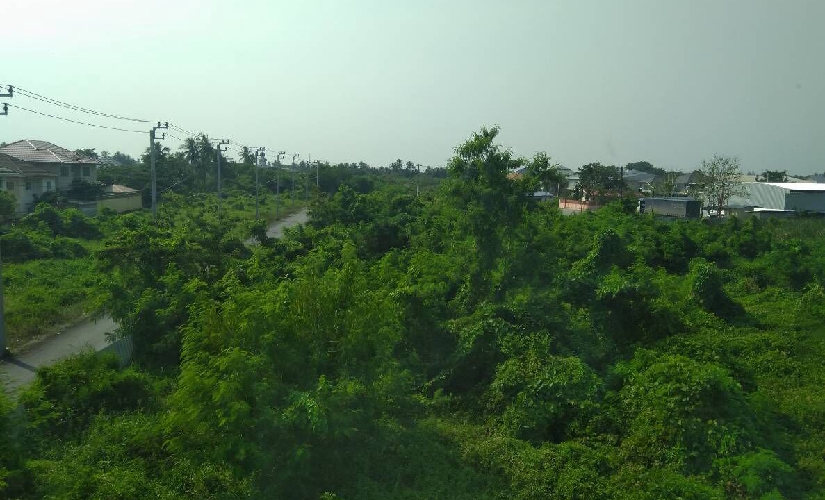 Photo of Outdoor in Thung Khru