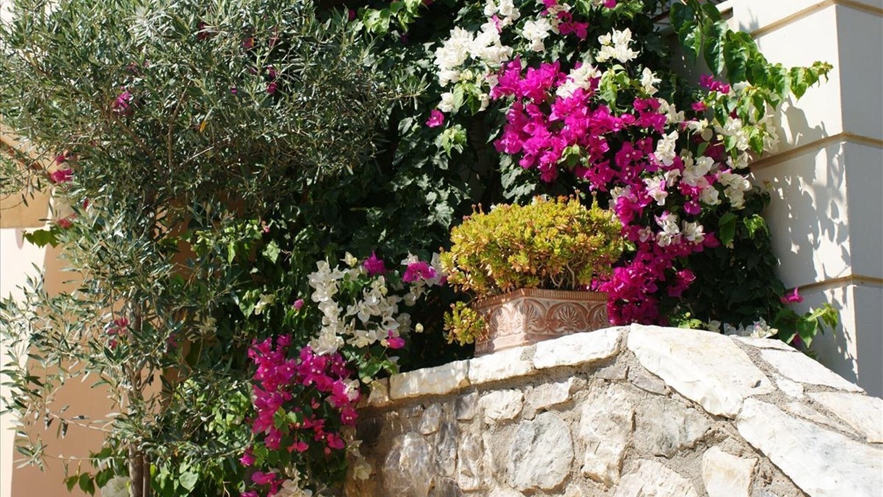Photo of Outdoor in Longos