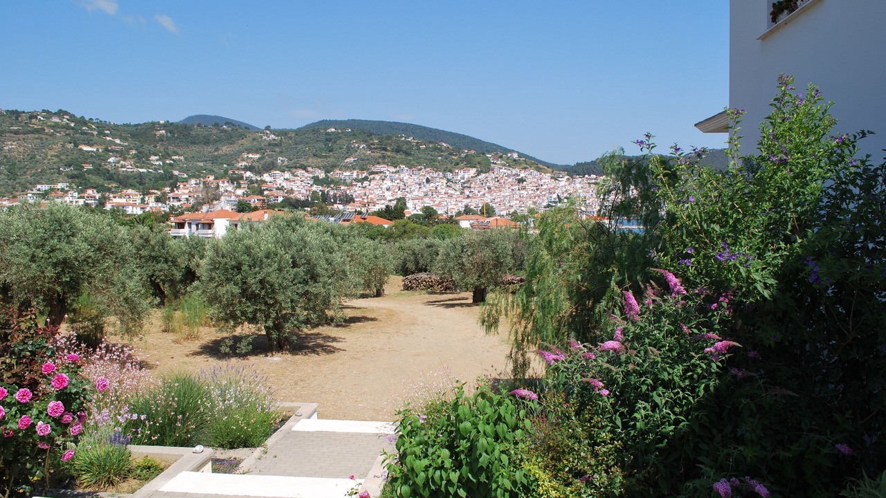 Photo of Outdoor in Skopelos Town