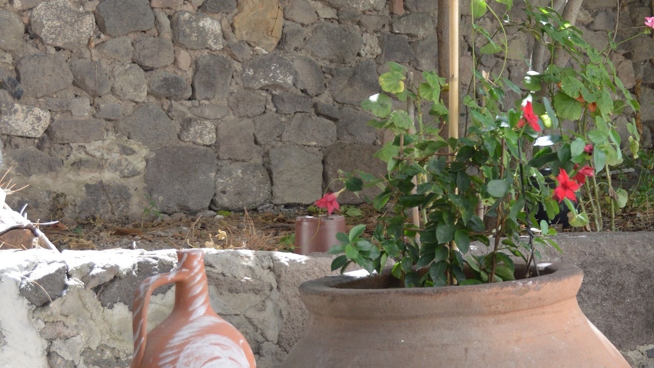 Photo of Outdoor in Mithimna