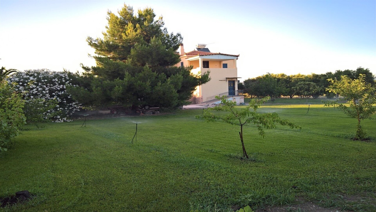 Photo of Outdoor in Vatera