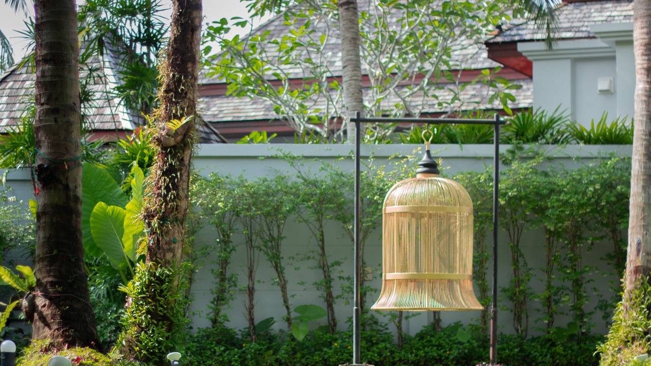Photo of Outdoor in Kamala