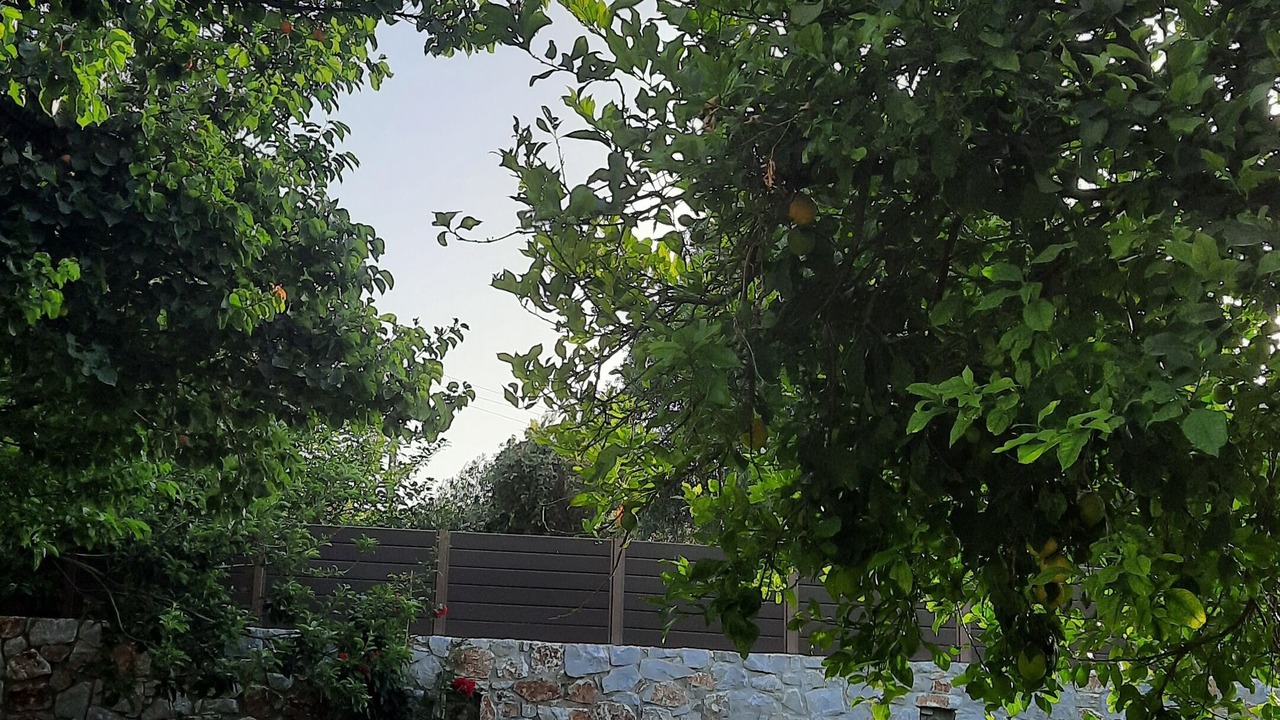 Photo of Outdoor in Sirili