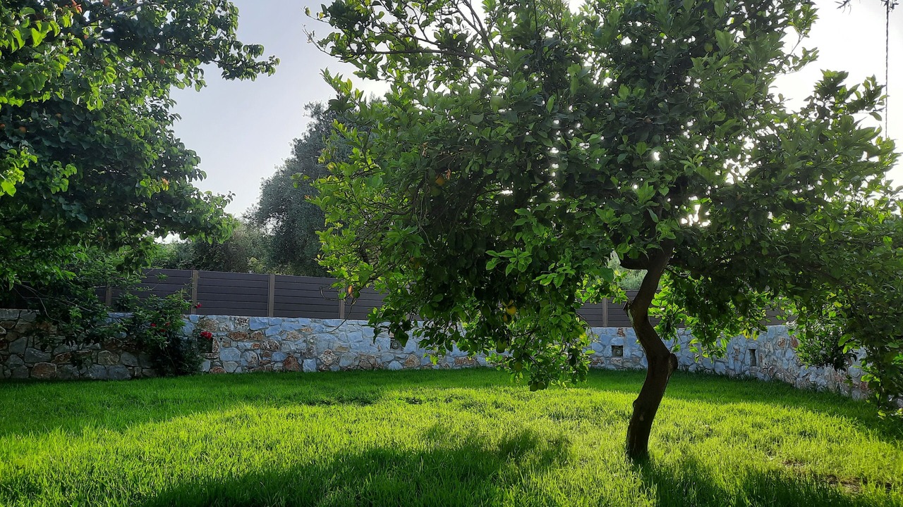 Photo of Outdoor in Sirili