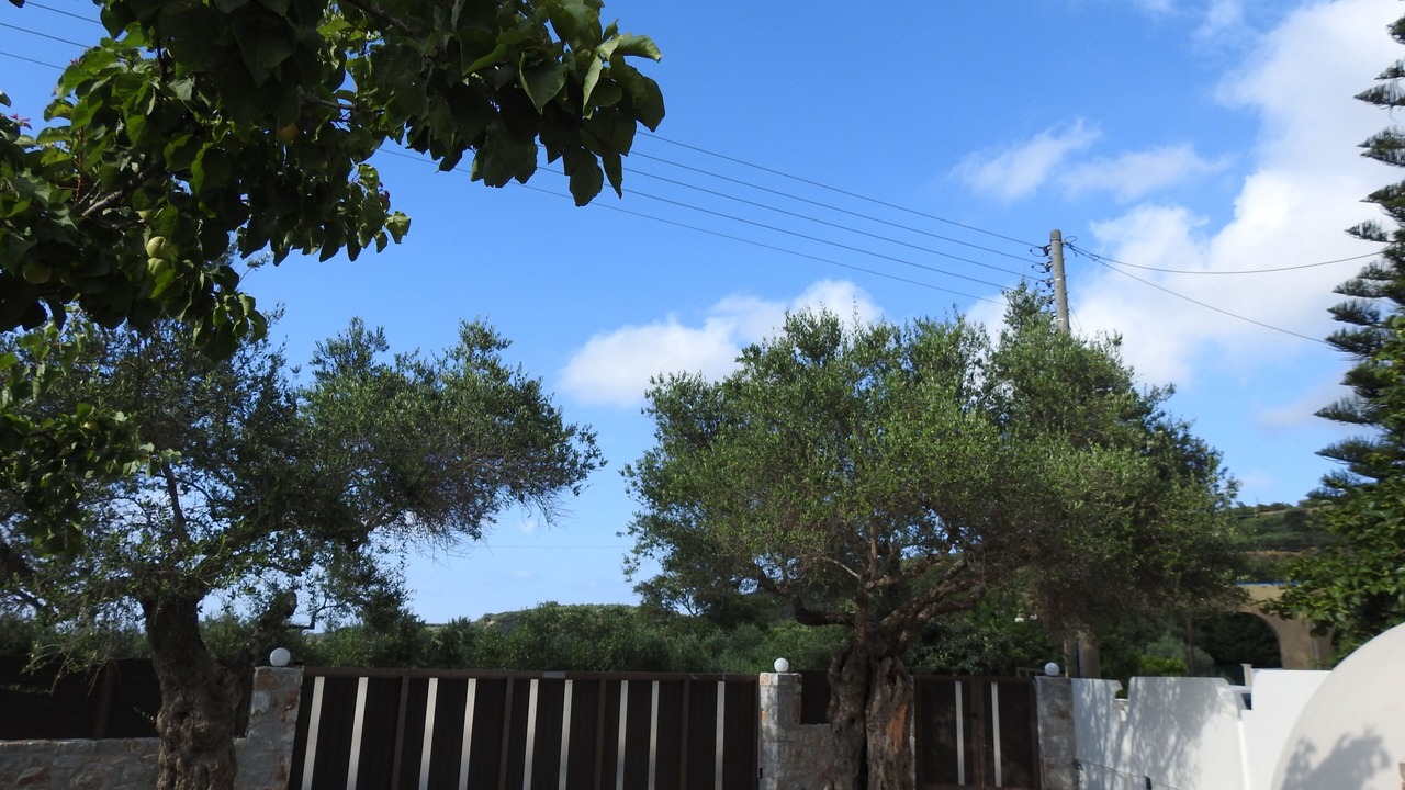 Photo of Outdoor in Sirili