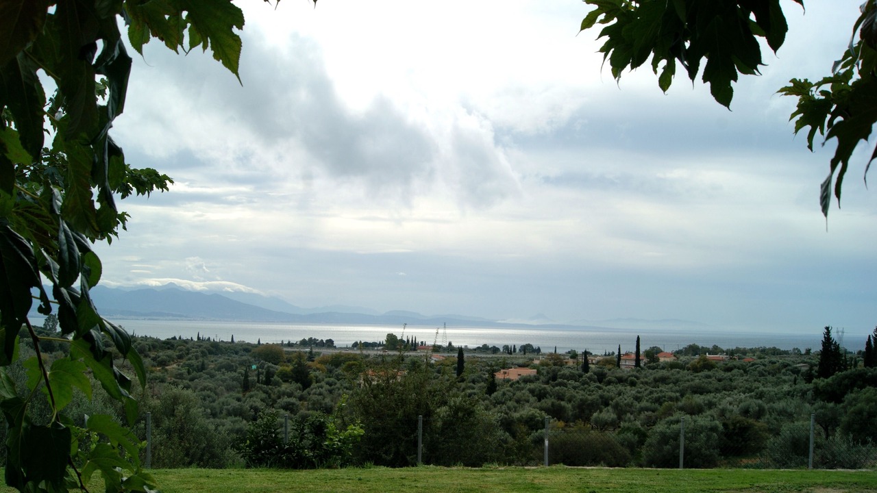 Photo of Others in Gefira Mpania