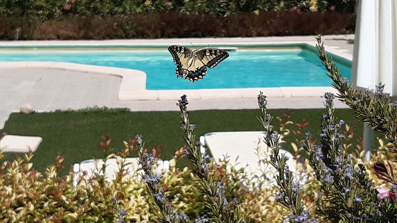 Photo of Outdoor in Agia