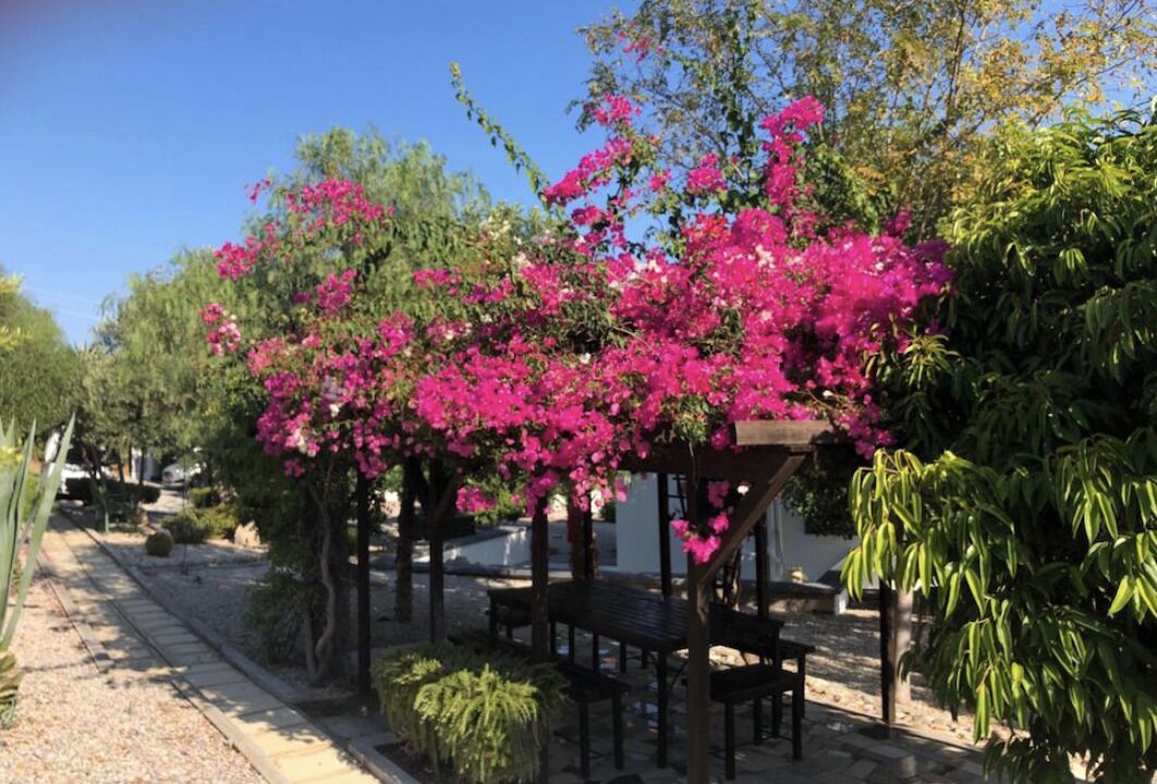 Photo of Outdoor in Kayalar