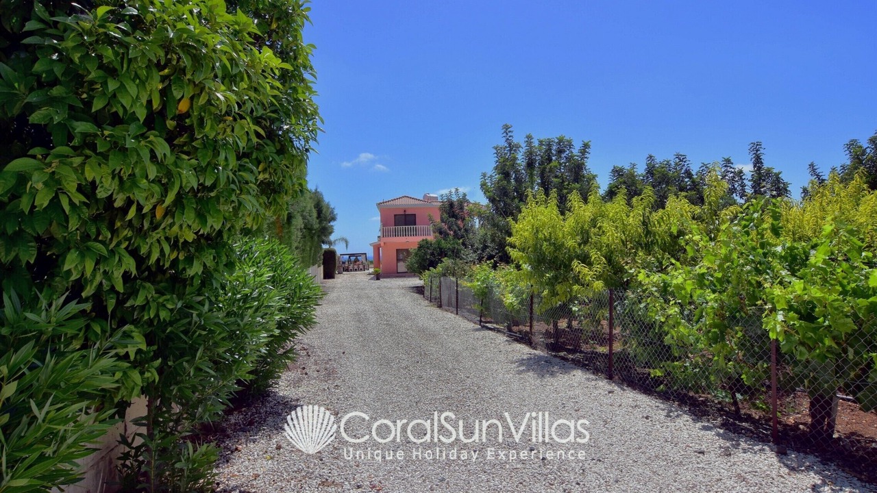 Photo of Outdoor in Pegeia