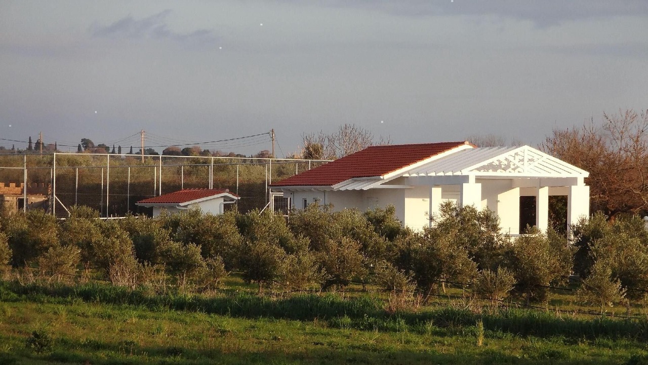 Photo of Outdoor in Ilida