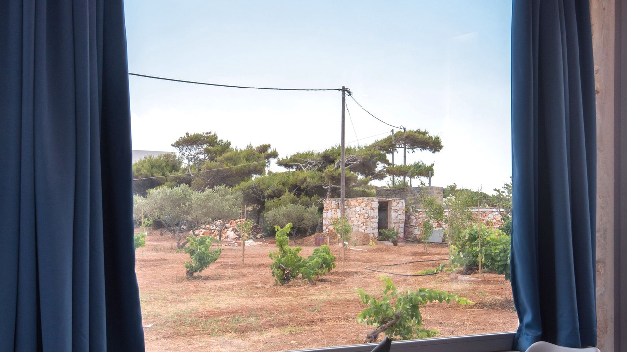 Photo of Others in Paros