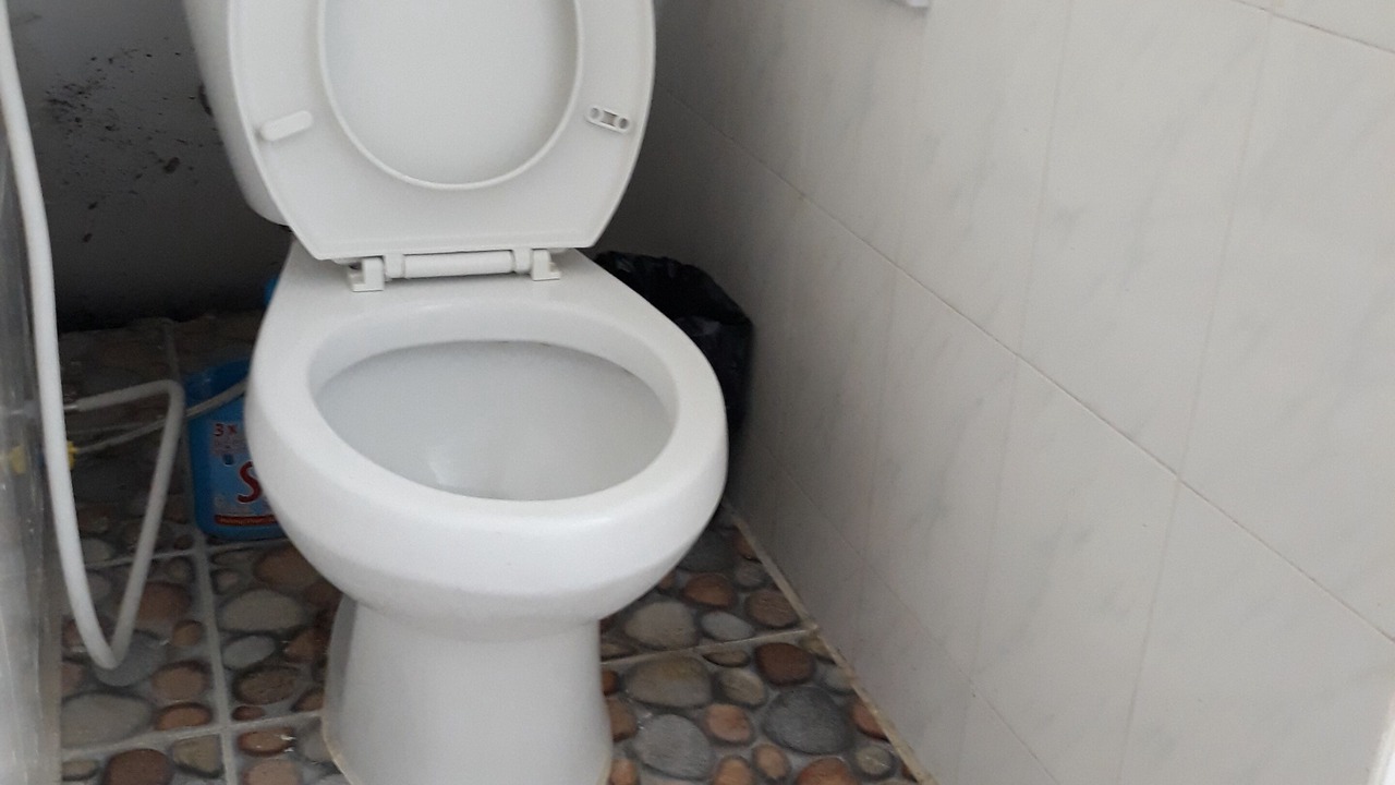 Photo of Bathroom in Chamkar Mon