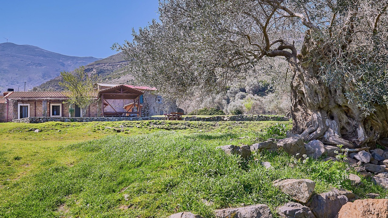 Photo of Outdoor in Agía Eiríni