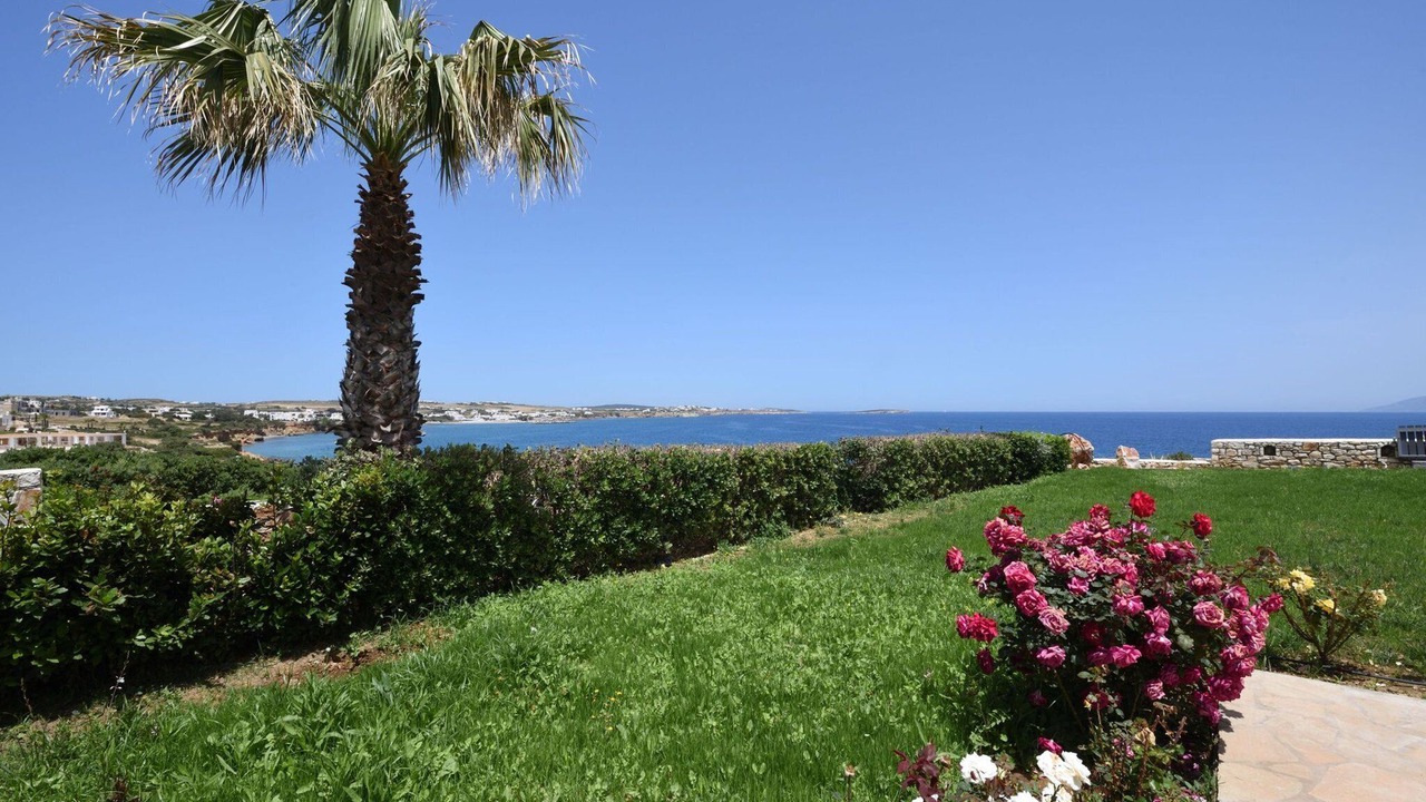Photo of Others in Paros
