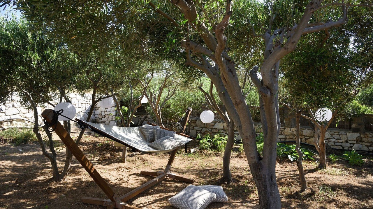 Photo of Others in Paros