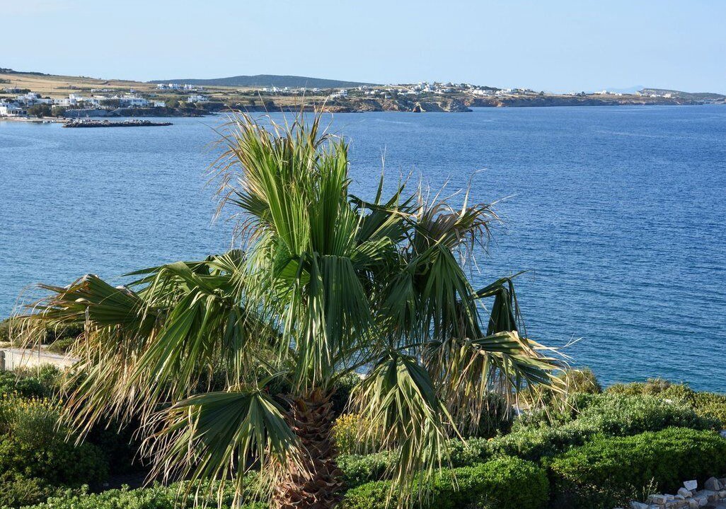 Photo of Others in Paros