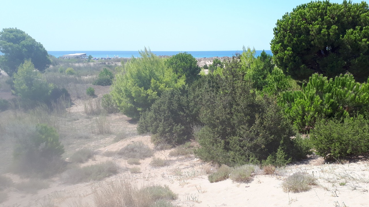 Photo of Others in Kalogria