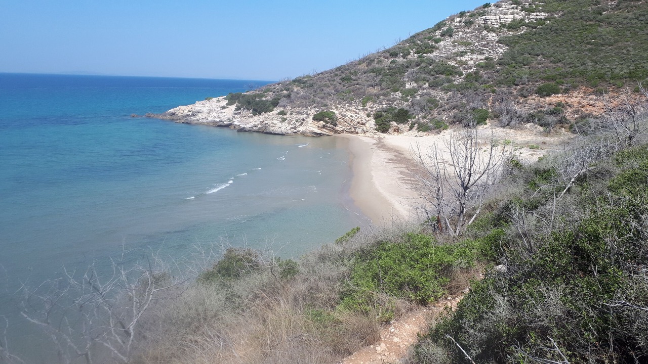 Photo of Others in Kalogria