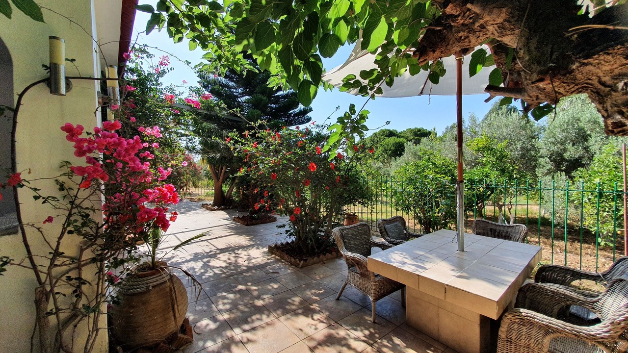 Photo of Outdoor in Kalogria