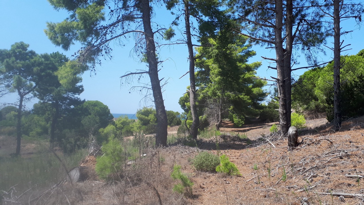 Photo of Outdoor in Kalogria