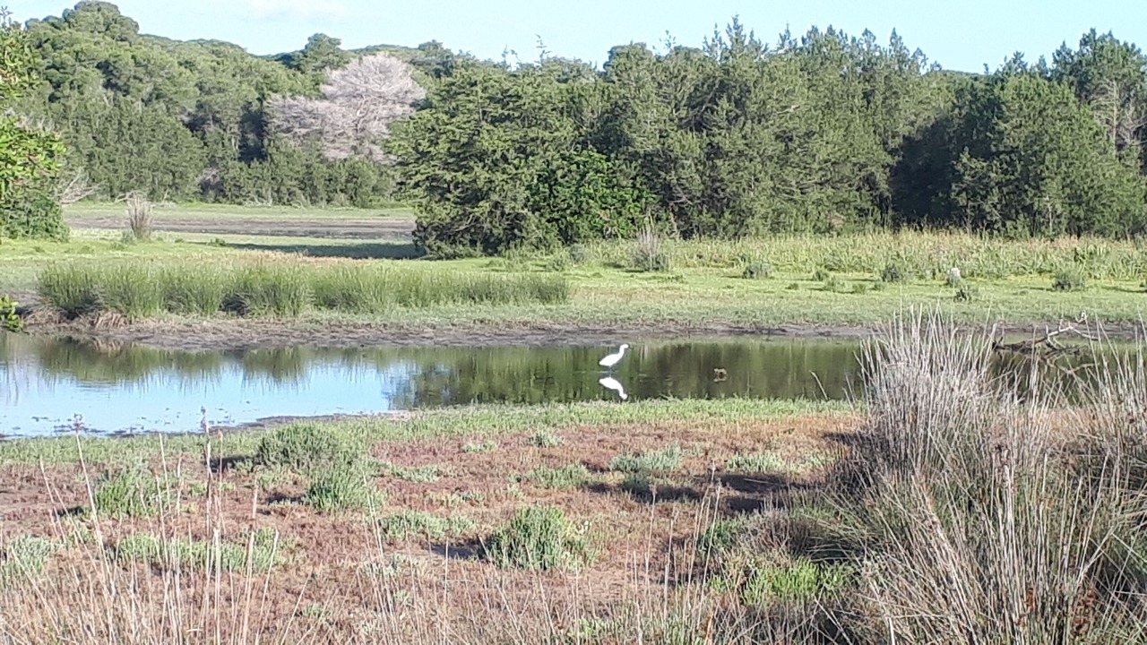 Photo of Outdoor in Kalogria