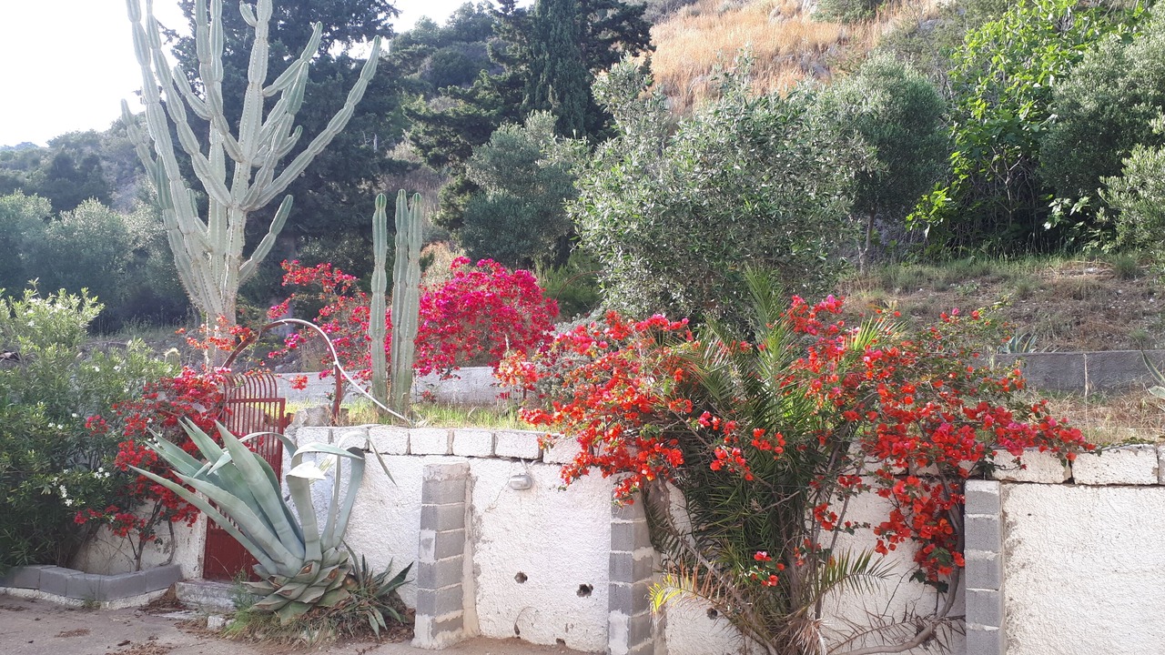 Photo of Outdoor in Kalogria