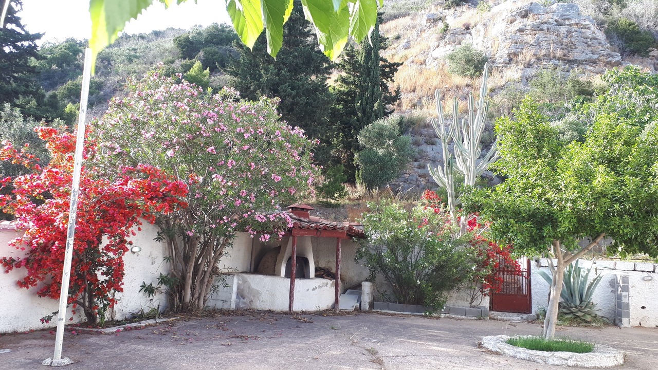 Photo of Outdoor in Kalogria