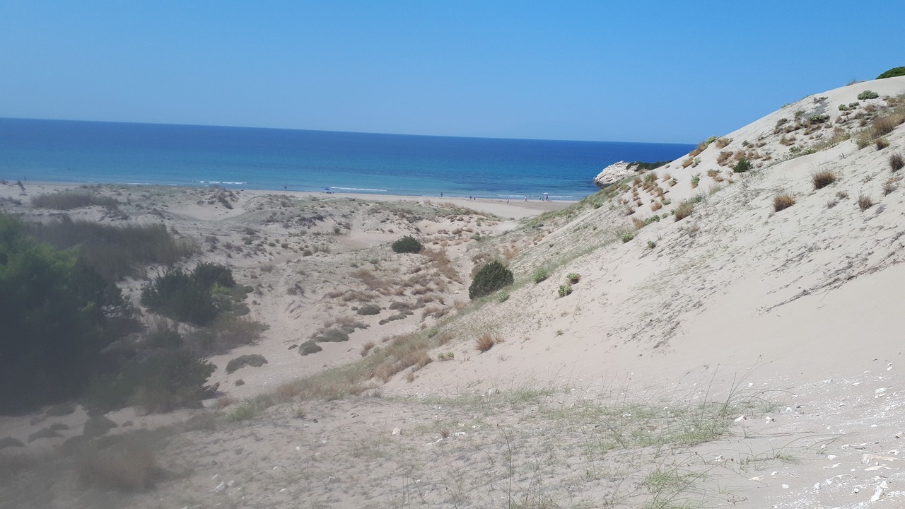 Photo of Others in Kalogria
